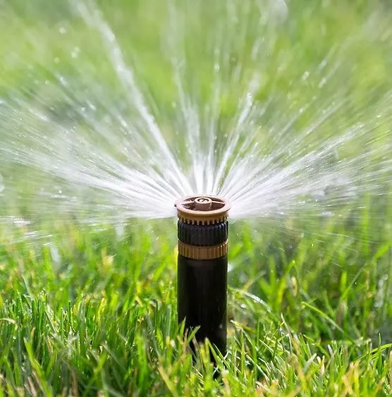 Commercial landscaping Denver property with clean lawn care and structured landscape design