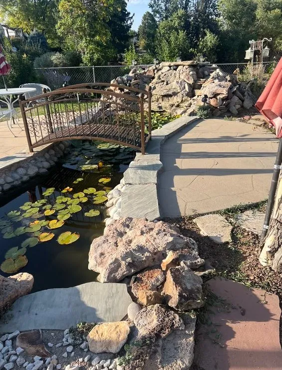 Denver landscape maintenance showcasing healthy plants, trees, and well-kept yard