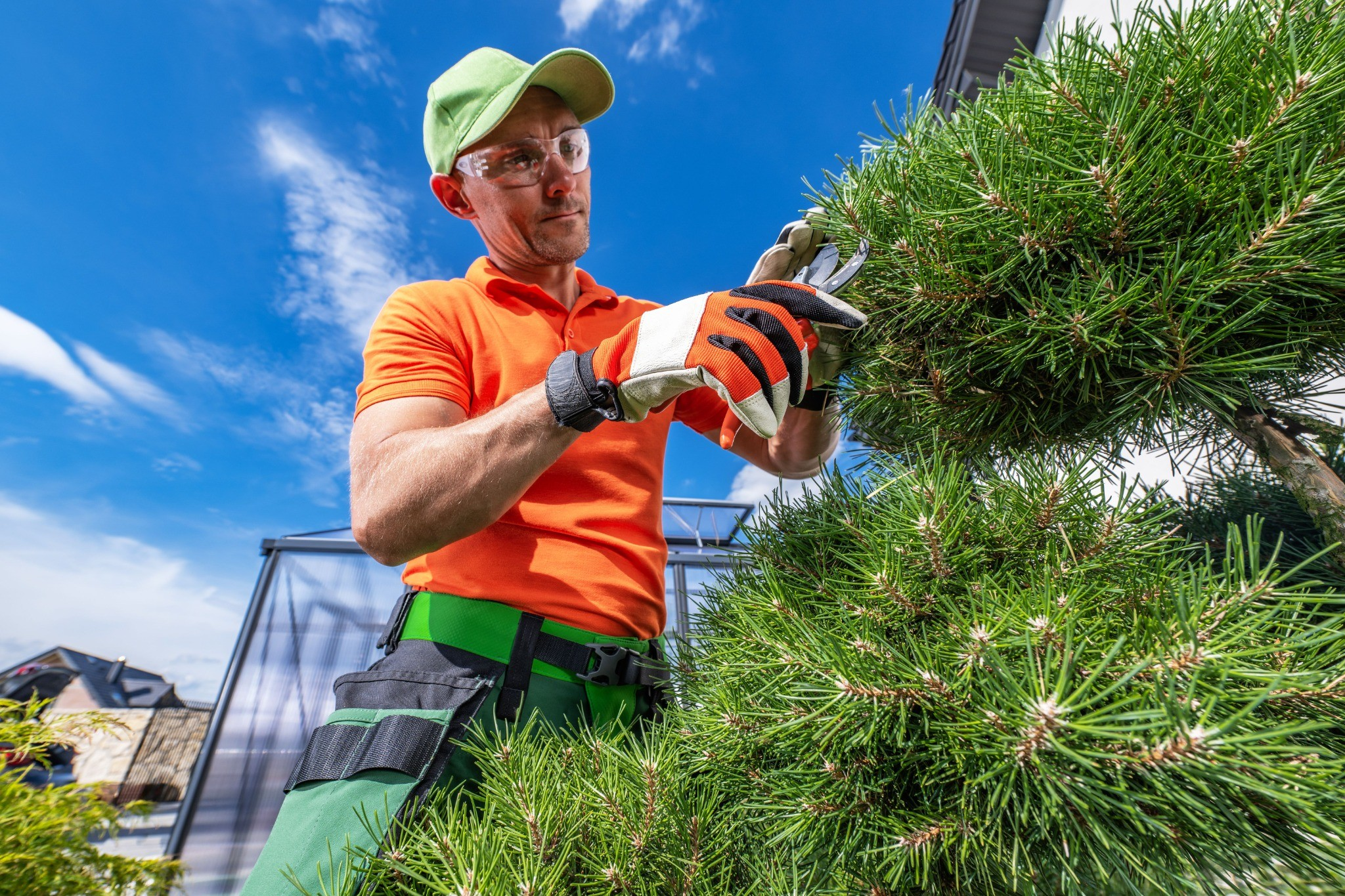 Professional Tree Removal Denver service by AAA Landscaping removing large tree safely in Denver Colorado