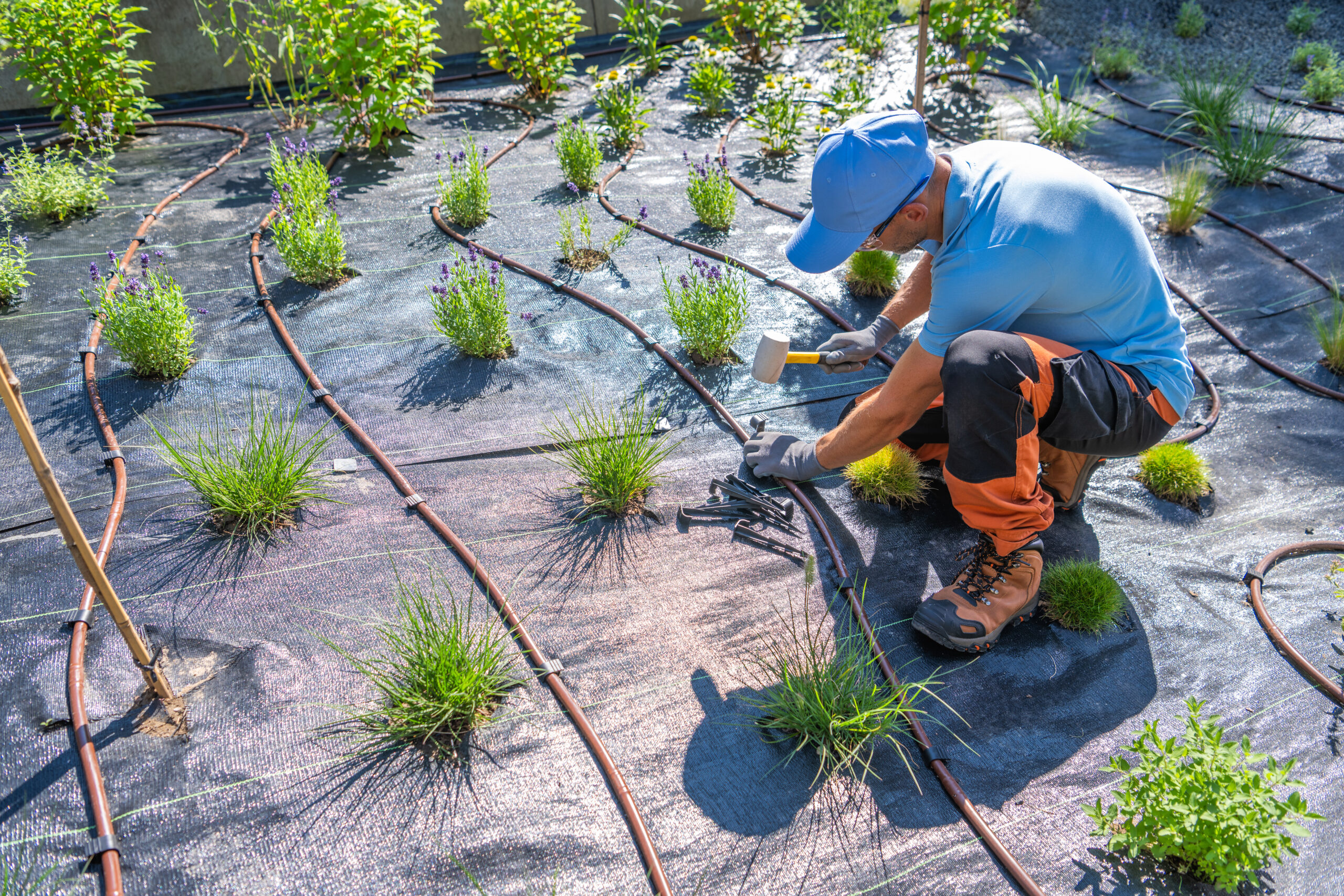 Professional irrigation system installation in Denver featuring smart irrigation technology and water-saving solutions